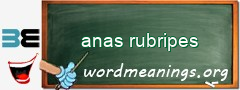WordMeaning blackboard for anas rubripes